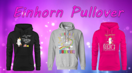Einhorn Pullover